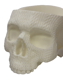 Skull Small White